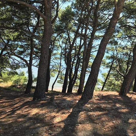 Beach Apartments "Bili Cvitak" Duće Eksteriør bilde