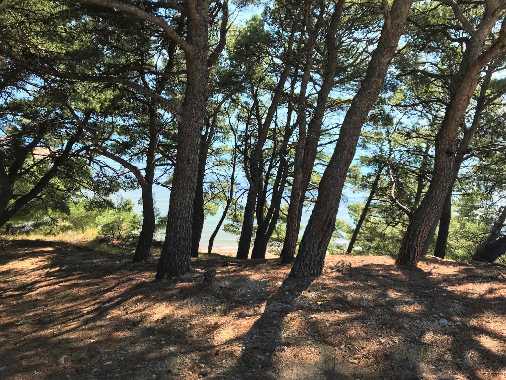Beach Apartments "Bili Cvitak" Duće Eksteriør bilde